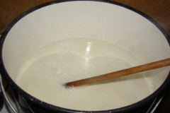 5cocersoya