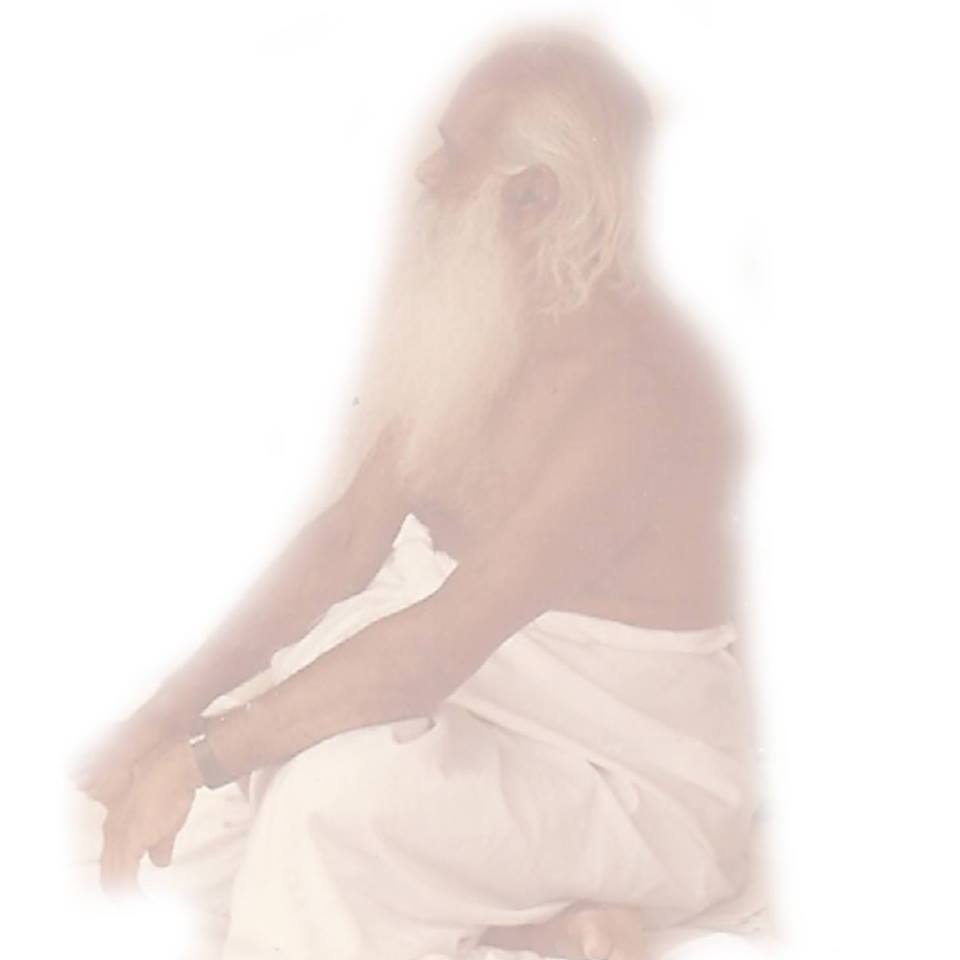 Pregunta el discípulo: ¿Es la iluminación el propósito de la meditación?