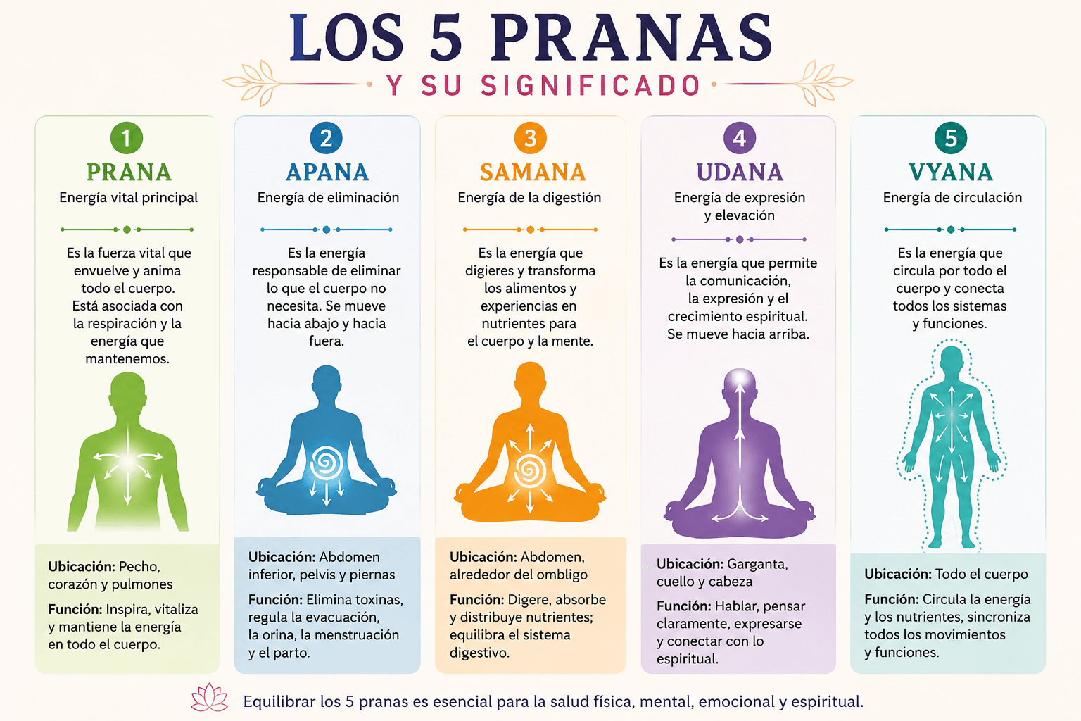 Pregunta el discípulo: Apreciado Gurú, podrías hablar un poquito sobre: Prana, Apana, Vyana, Udana y Samana?